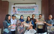Pemprov Kepri Lepas Ekspor Ikan Kakap dan Angoli ke Australia, Dorong Ekonomi Lokal