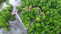 Hutan mangrove. Kementerian KKP