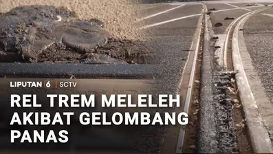 Gelombang panas ekstrem yang melanda Eropa mulai melumpuhkan sejumlah layanan transportasi publik. Di Jerman, suhu tinggi menyebabkan rel trem memuai, sehingga mengganggu operasional di beberapa kota.