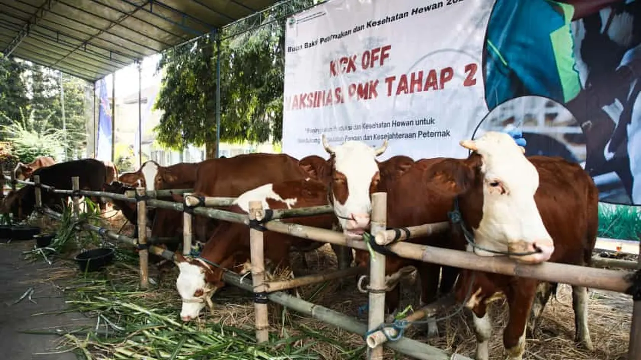 Jateng memiliki potensi peternakan yang bisa dikembangkan.