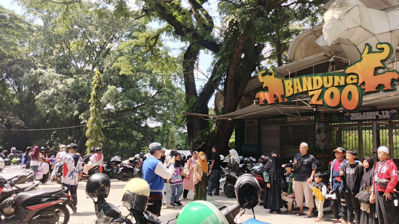 Bandung Zoo Dibuka Terbatas Saat Libur Nataru, Tiket Gratis Diganti Donasi Seikhlasnya