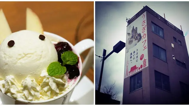 Foto : copyright kotaku.com