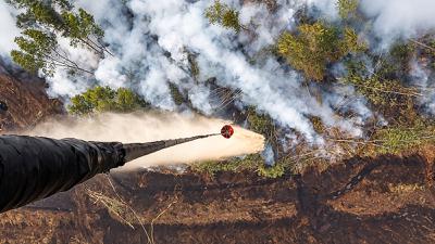 353 Personel Tangani Kebakaran Hutan Musi Banyuasin Tak Kunjung Padam