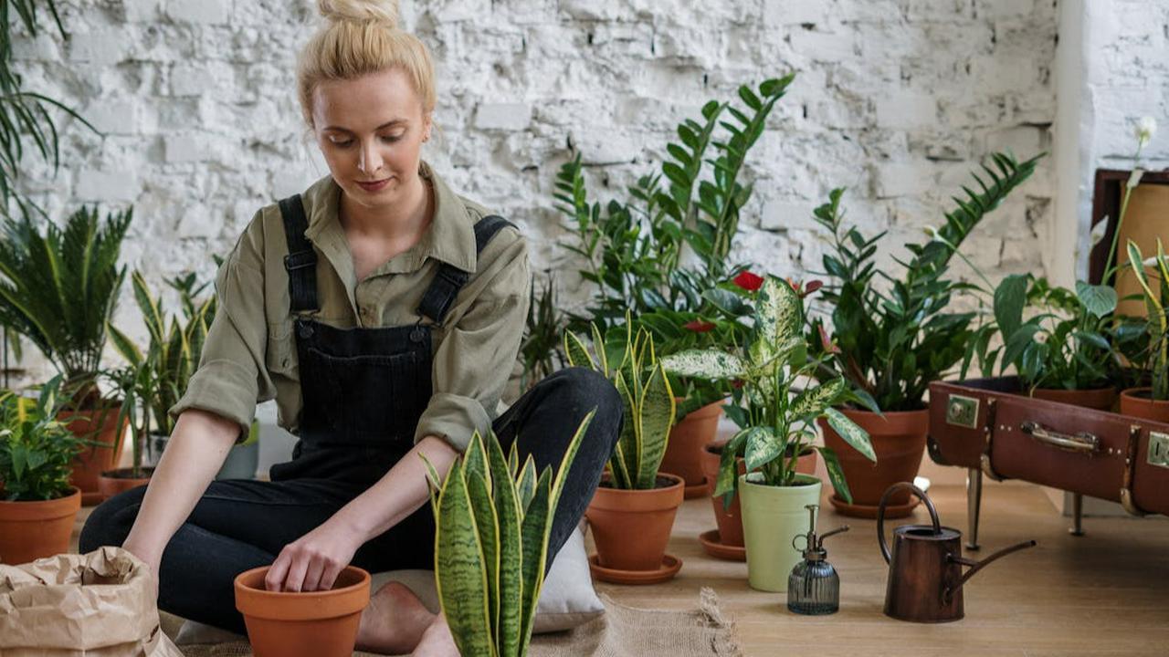 Berkebun, Obat Alami untuk Pikiran yang Lelah