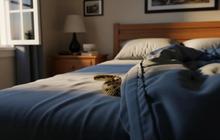 Perempuan ini Kaget Bukan Main, Bangun Tidur Tengah Malam Ada Ular Piton 2,5 Meter di Atas Dadanya