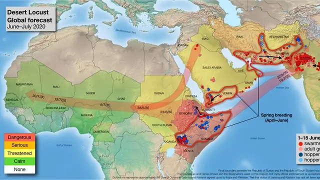Gambar pergerakan hama belalang di Asia Selatan, Timur Tengah, dan Afrika Timur pada 2020 (sumber: FAO)