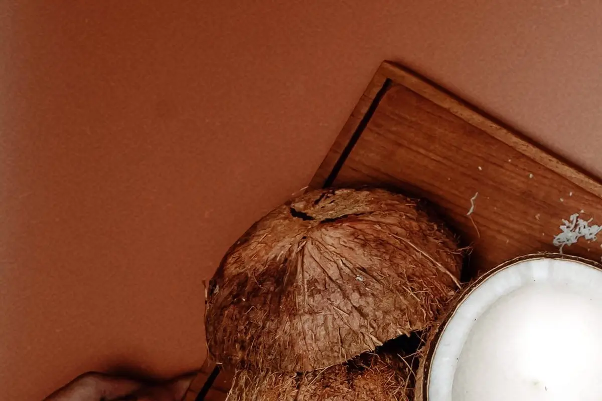 Mudah Ditiru, Ini Cara Lepaskan Daging Kelapa dari Cangkangnya Tanpa Pisau