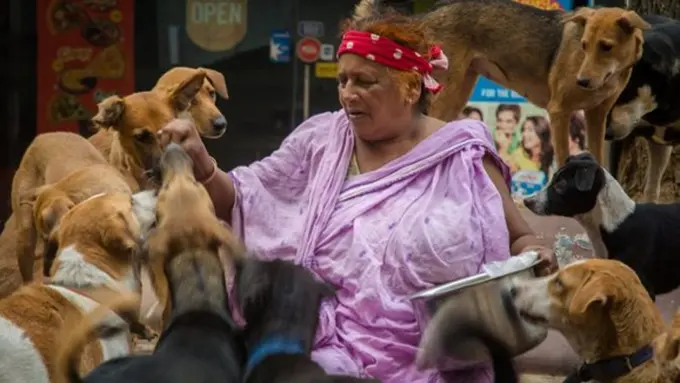 Photo: Copyright odditycentral.com