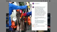 Dua regu penyelamat dari Damkar Jakarta Selatan dan Damkar Tangsel mengevakuasi sapi kurban terperosok ke dalam got menggunakan crane. (Instagram @humasjakfire)