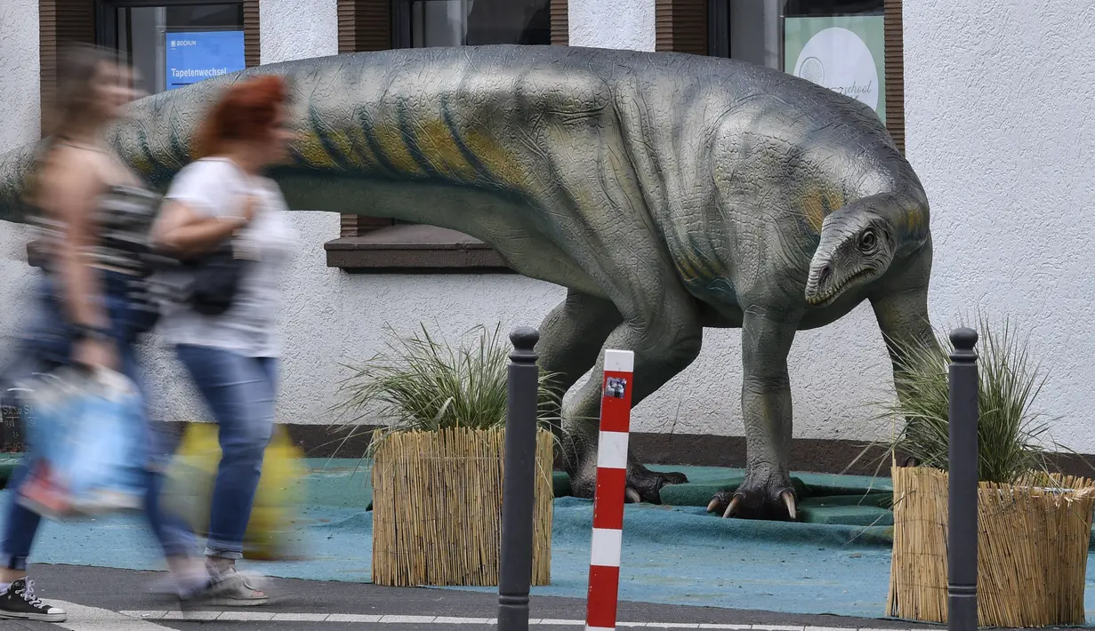 Pejalan kaki melewati replika dinosaurus Plateosaurus seukuran aslinya di pusat kota Bochum, Jerman (12/8/2019). Pameran ini menampilkan 33 replika dinosaurus di sekitar pusat kota, berada di Bochum. (AP Photo/Martin Meissner)