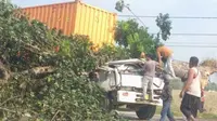 Kronologi Pohon Tumbang Timpa Truk Kontainer Tewaskan 2 Orang di Karawang