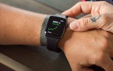 10 Rekomendasi Smartwatch Terbaik di 2025 untuk Temani Gaya Hidup Sehatmu