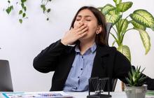 11 Tips Menghindari Rasa Ngantuk Setelah Makan Siang, Tanpa Harus Minum Kopi