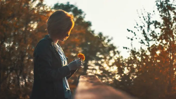 Ilustrasi Relationship