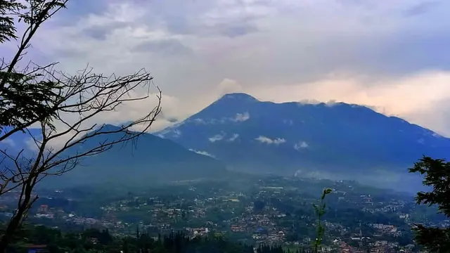Daftar 13 Penanggung Jawab Perusakan Kawasan Puncak Bogor yang Dapat Sanksi dari Menteri Lingkungan Hidup