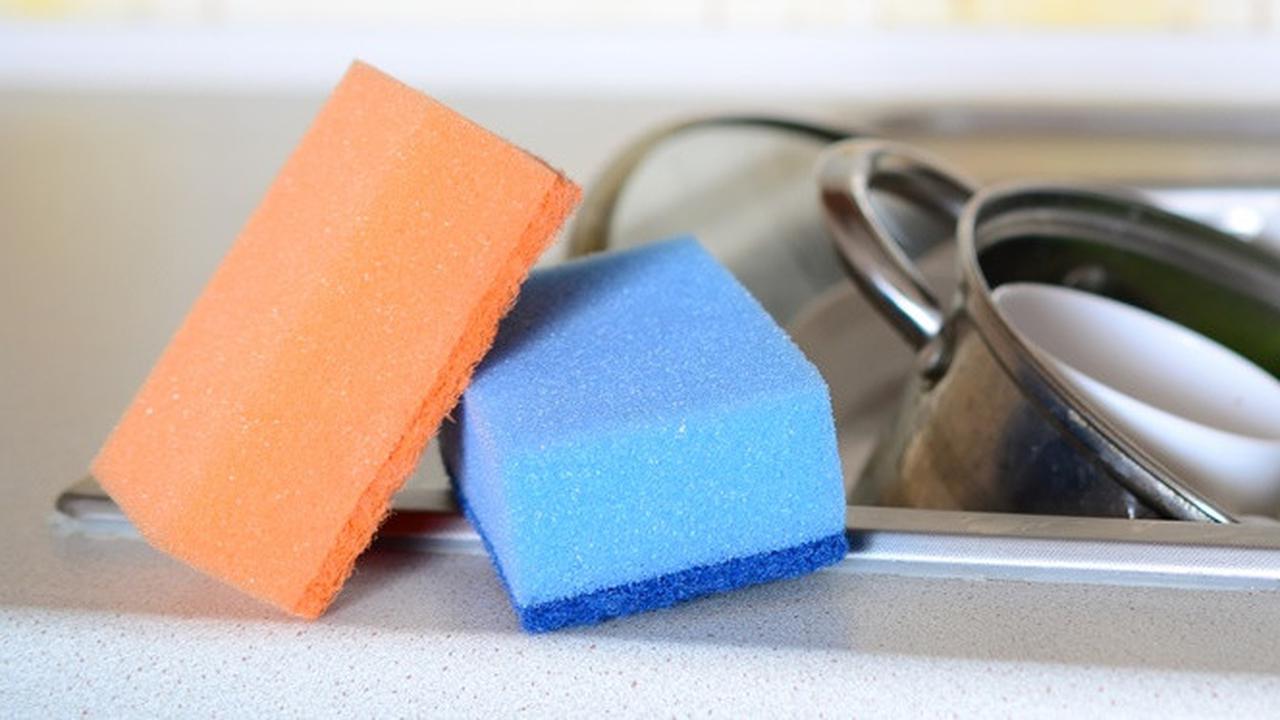 Waktu yang Tepat Untuk Menganti Spons Cuci Piring