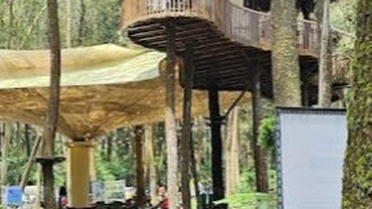 4. Kopeng Treetop Adventure Park<br>