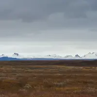 Ilustrasi Tanah/https://unsplash.com/ Wolfgang Hasselmann