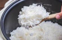 Cara Menyimpan Nasi di Rice Cooker Agar Tetap Segar dan Tidak Cepat Basi Tanpa Menggunakan Bahan Tambahan