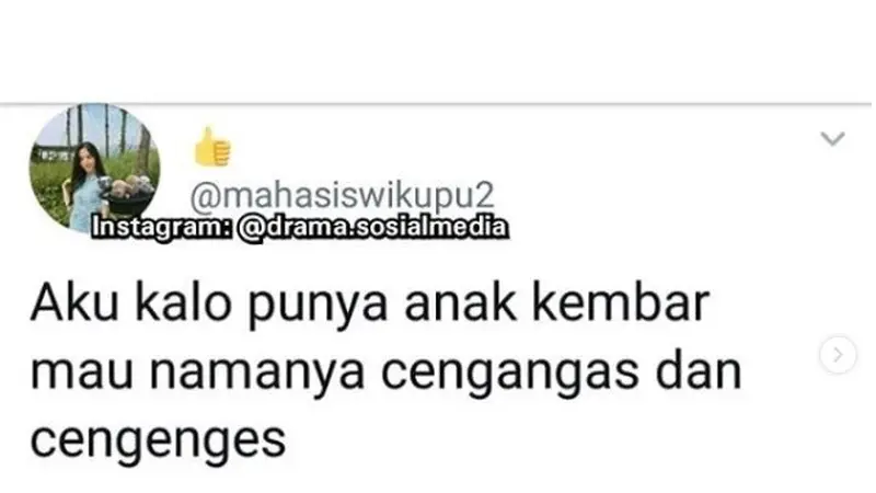 nama anak kembar (foto: Twitter/@drama.sosialmedia)