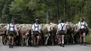 Penggembala Bavaria menggiring hewan ternak mereka di pegunungan dekat Oberstdorf, Jerman, Kamis (13/9). Memasuki musim gugur, penggembala Bavaria akan memindahkan hewan ternak mereka untuk mendapatkan rumput di lembah. (AP Photo/Matthias Schrader)