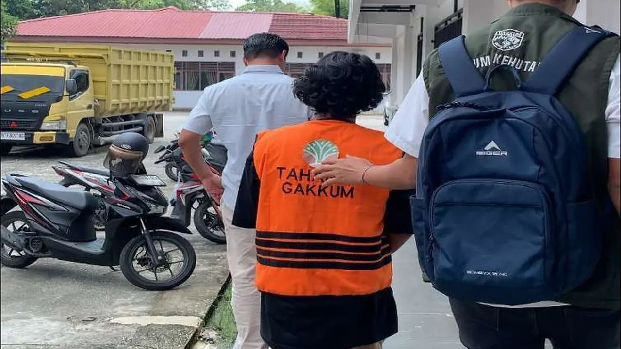 Operasi Gabungan Kemenhut Ungkap Pembalakan Liar di Kawasan Konservasi Kerumutan 3 Pelaku ditangkap.