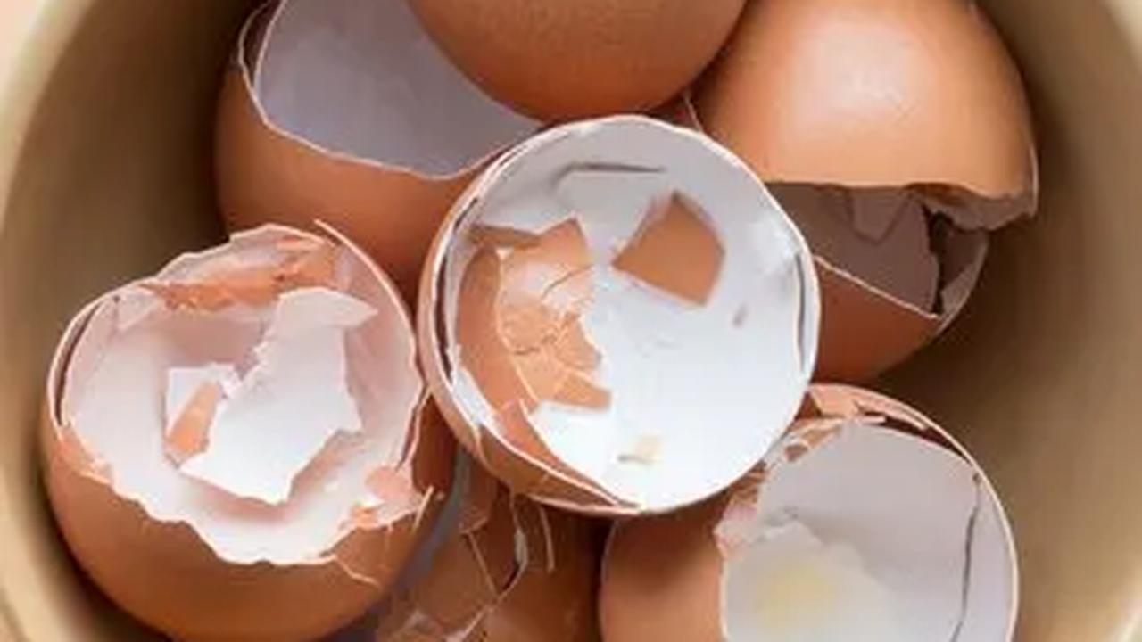 Membersihkan dan Merawat Peralatan Dapur