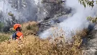 Penyebab Kebakaran Gunung Buthak Meluas dan Sulit Padam