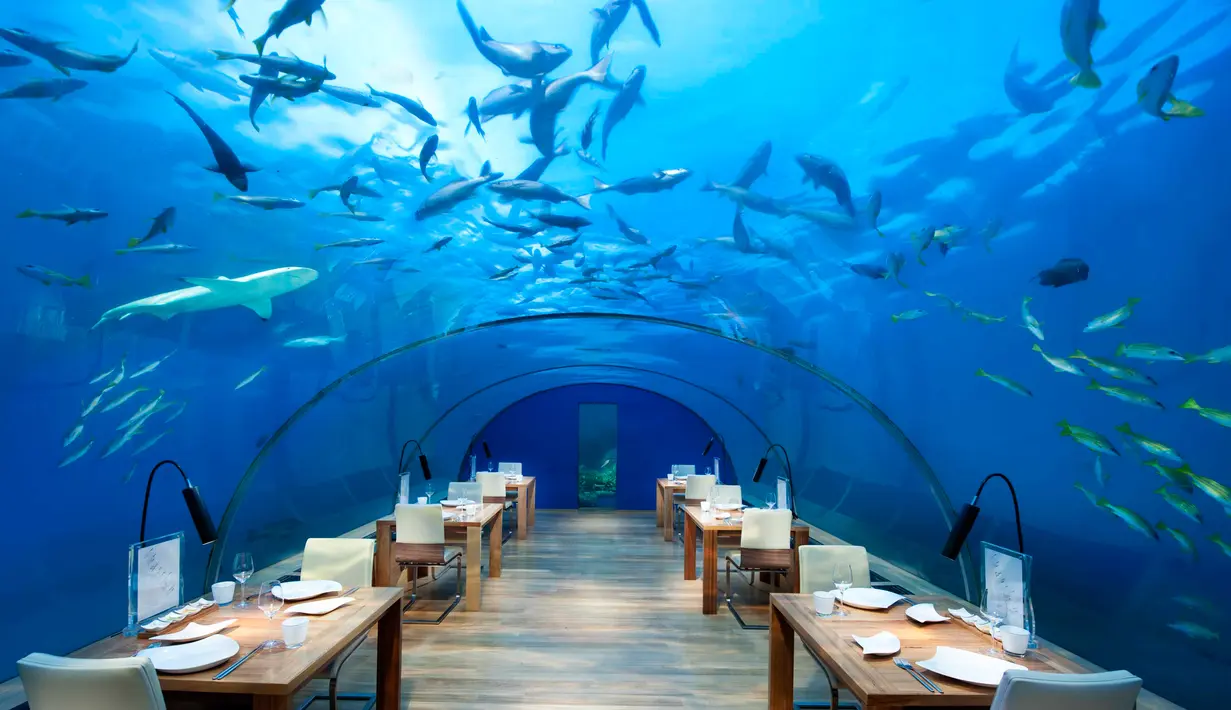 Ithaa Undersea Restaurant adalah bagian dari Hilton Maldives Resort and Spa. Restoran yang berada 5 meter di bawah permukaan laut ini dibuat dengan tujuan para tamu dapat menikmati keindahan bawah laut tanpa membuat badan mereka basah. (whenonearth.net)