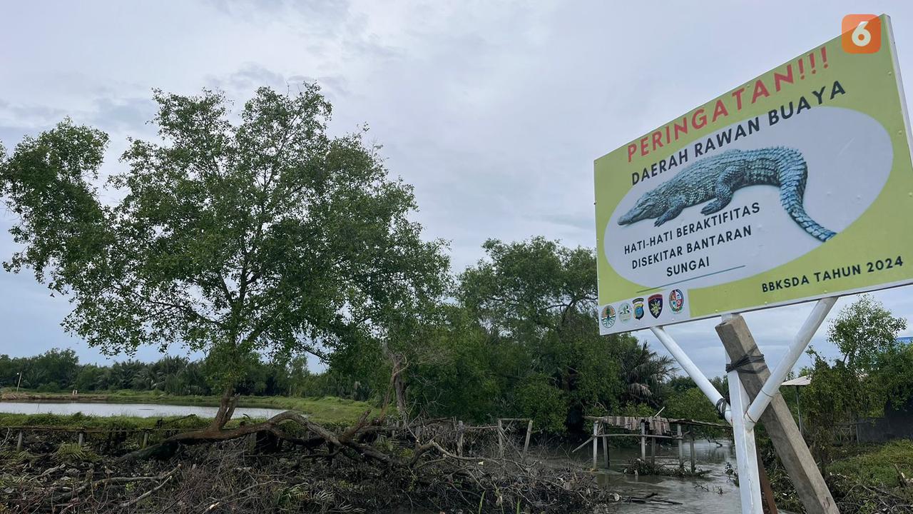 Kondisi lahan Hutan Mangrove di Desa Tanjung Rejo, Deli Serdang, Medan, Sumatera Utara