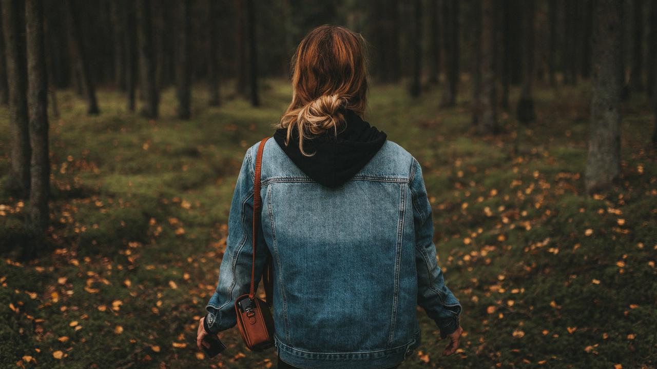 ilustrasi hutan di Gunungkidul