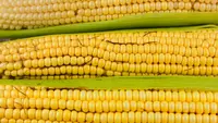 Cara Menghilangkan Rambut Jagung dengan Mudah, Cukup Pakai Kain Lembap
