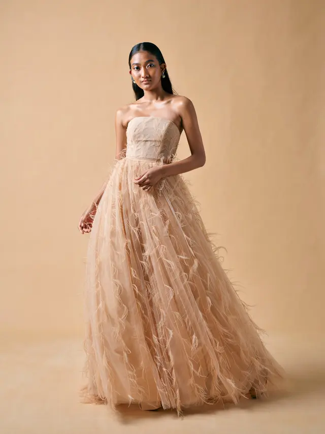 Gaun Pesta dengan Feather Accent