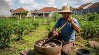 Cara Mengolah Duri Ikan untuk Pupuk, Mudah Dibuat dan Bikin Subur