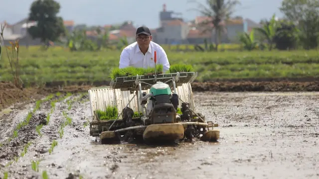Pompanisasi Selamatkan Lahan Petani dari Ancaman Kekeringan