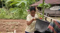 Ibu Shinta, Masyarakat Sumba Barat dapat menanam dan menyiram benih sayur di pekarangan rumahnya setelah Save the Children membantu menyediakan akses air bersih bagi Masyarakat sekitar. (sumber foto: Save The Children)