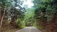 Dishut Kaltim Ungkap 5 Program Prioritas Jaga Kelestarian Ekosistem Hutan
