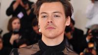 Harry Styles di karpet merah Met Gala 2019 di Metropolitan Museum of Art, New York, Amerika Serikat, 6 Mei 2019. (ANGELA WEISS / AFP)