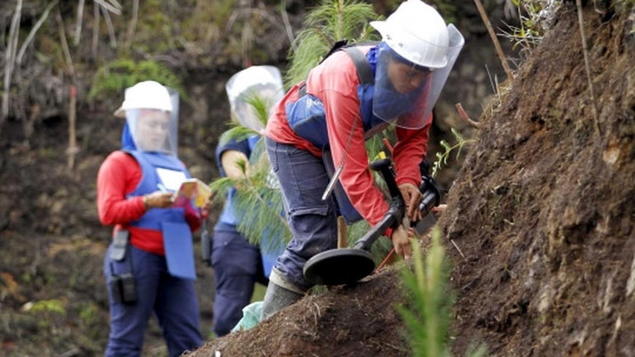 Kisah heroik wanita pemburu ranjau sisa perang Kolombia