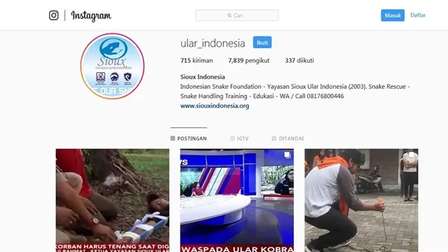 Ular
