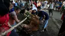 Sejumlah panitia bersiap menyembelih hewan kurban berupa sapi di kawasan Musholla Al-Insani, Jakarta Selatan, Senin (12/9). Hari Raya Idul Adha 1437 H yang dirayakan umat Islam itu ditandai dengan pemotongan hewan kurban. (Liputan6.com/Johan Tallo)