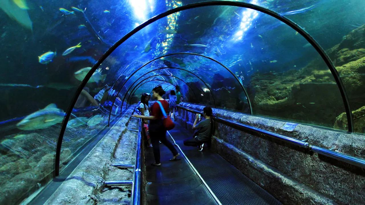 Terowongan Seaworld