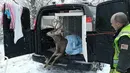 Seekor rusa berada di ambulans setelah berhasil diselamatkan oleh petugas pemadam kebakaran dari dalam danau es di Colorado, AS, Senin (22/1). Di dalam ambulans, rusa tersebut kemudian dihangatkan dengan diberi handuk. (facebook.com/WestMetroFireRescue)