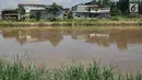 Foto Sungai Citarum di kawasan Cicukang, Bandung, Jawa Barat, Rabu (3/4). Pemerintah berencana merevitalisasi Sungai Citarum dalam enam tahun ke depan. (Liputan6.com/Herman Zakharia)