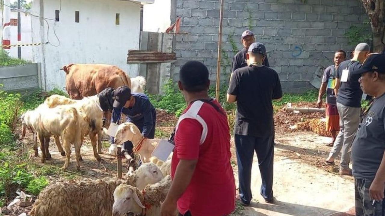 Perputaran Ekonomi Idul Adha di Probolinggo Capai Rp25,3 Miliar, Dorong Sektor Peternakan