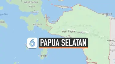 Menteri Dalam Negeri (Mendagri) Tito Karnavian memastikan pemerintah pusat kemungkinan mengakomodasi hanya penambahan dua provinsi di Papua. Tito memastikan yang bakal menjadi provinsi baru di Papua karena pemekaran adalah Provinsi Papua Selatan.