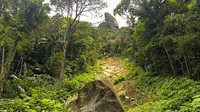 Gunung Ranai Berpotensi Longsor, Warga Diimbau Waspada Saat Hujan