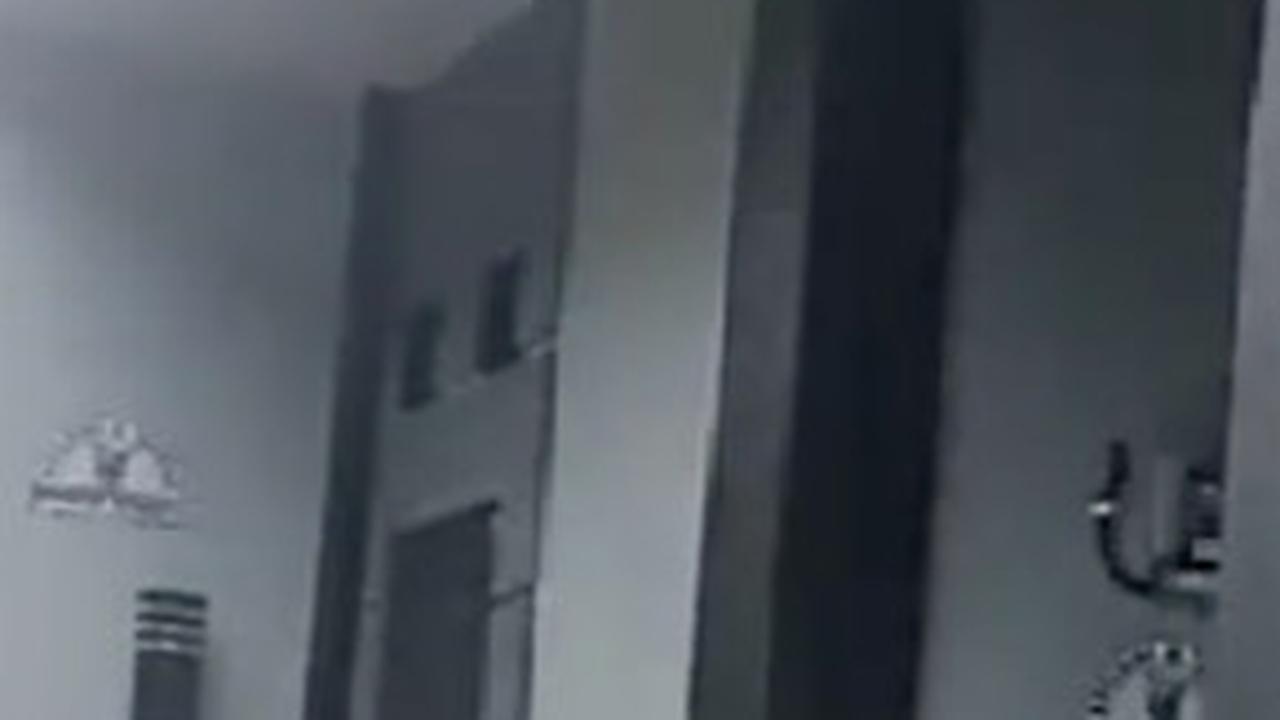 Viral Rumah Kambing Mewah di Banjarnegara, Begini Penampakannya yang Bikin Takjub Warganet