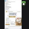 Cek Fakta: Hoaks Link Pendaftaran Bantuan Bibit Ayam Periode 21 Februari - 30 April 2026