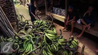 Ribuan Warga Baduy Siap Gelar Seba Pekan Depan